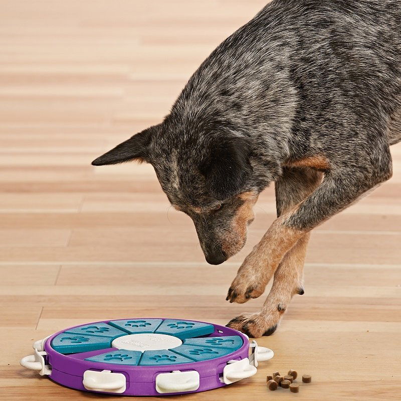 Nina Ottosson - Dog Twister