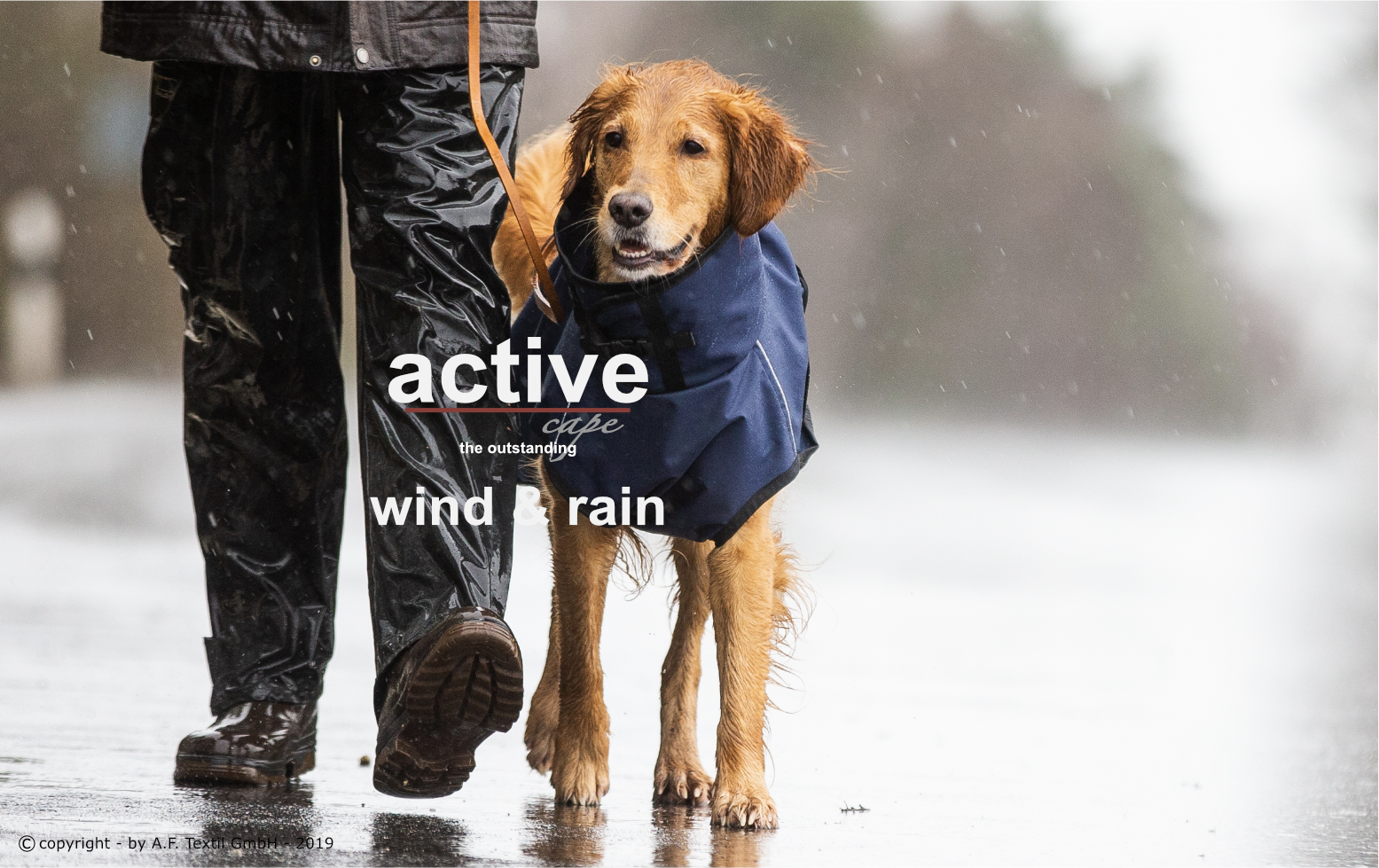 ACTIVE CAPE WIND & RAIN