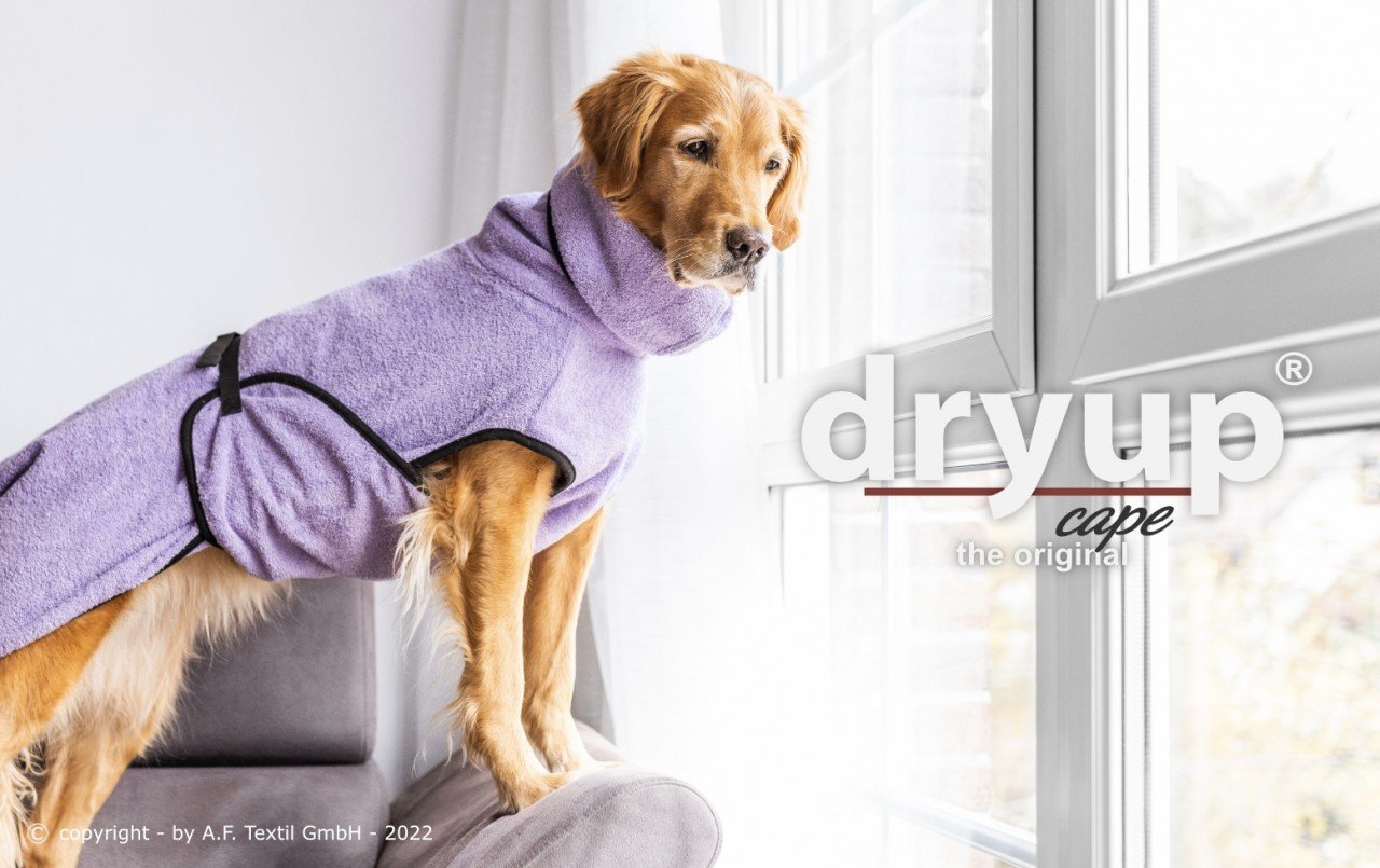 Dryup-cape-lavender_Hundebademantel