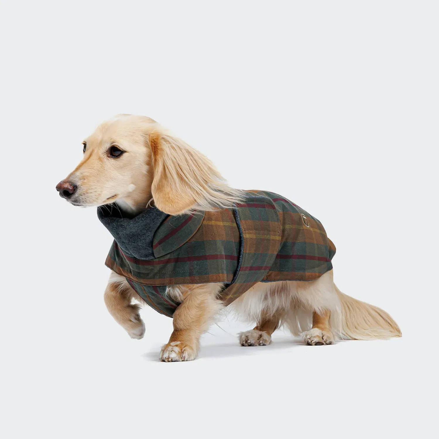Hundemantel Brooklyn Dackel Waxed Tartan