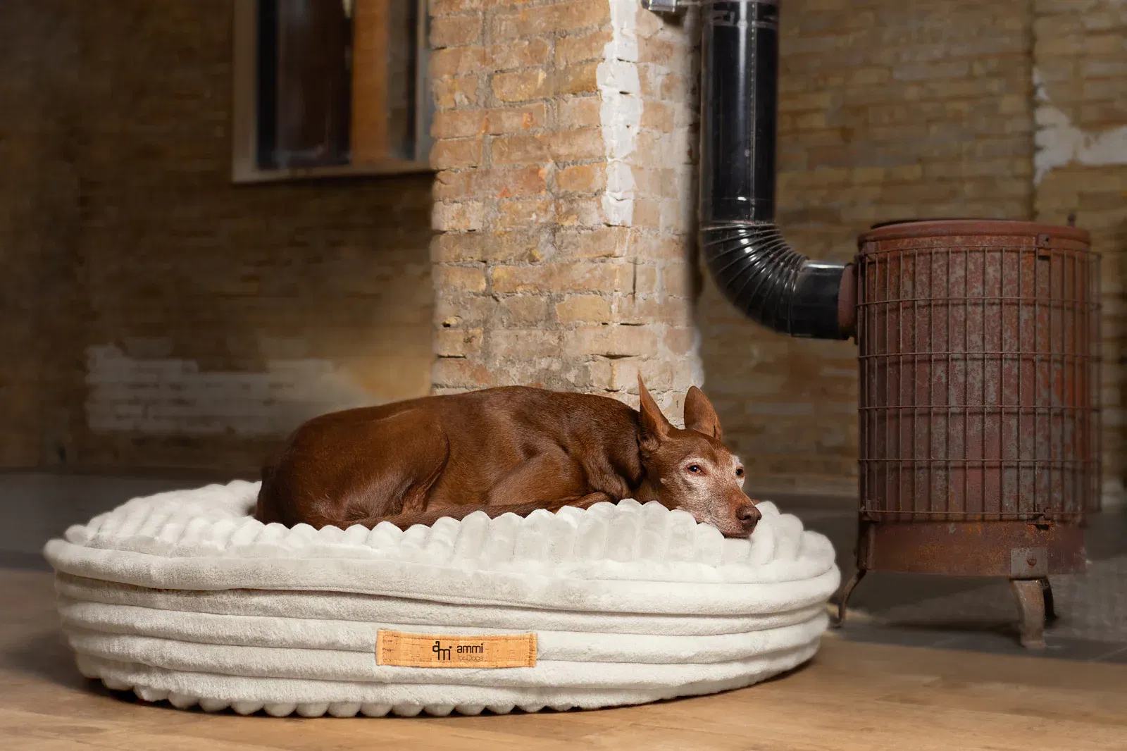 Hundekissen Cama