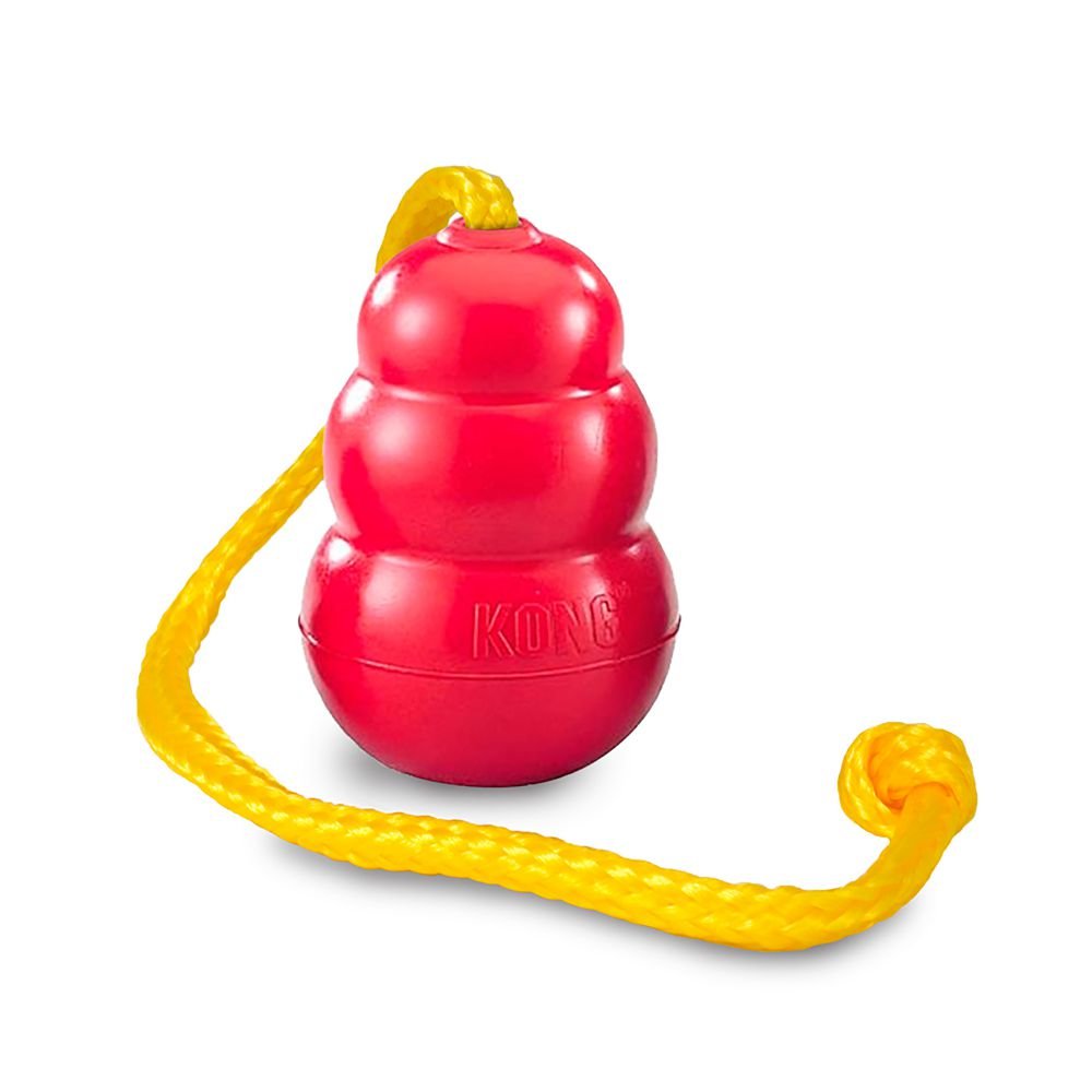 Kong - Classic W/Rope