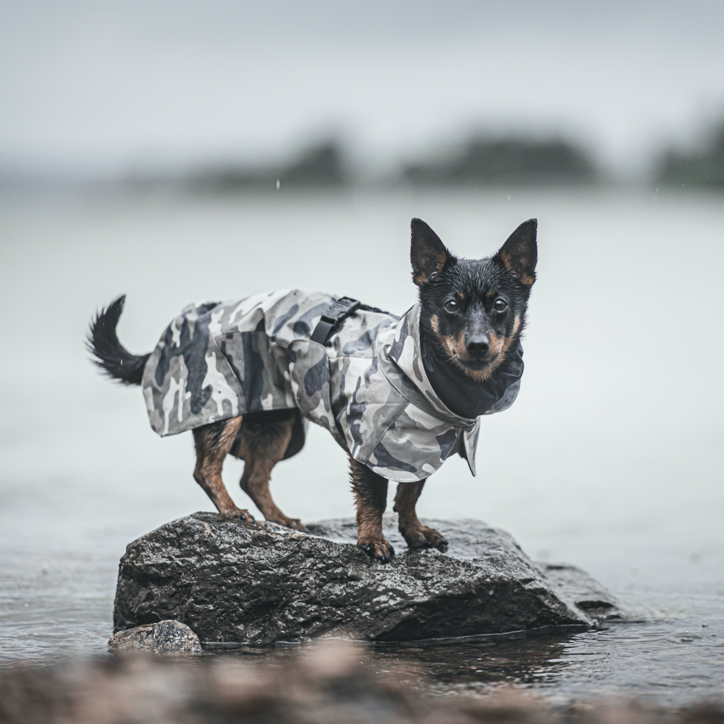 Recovery Regenmantel Camo