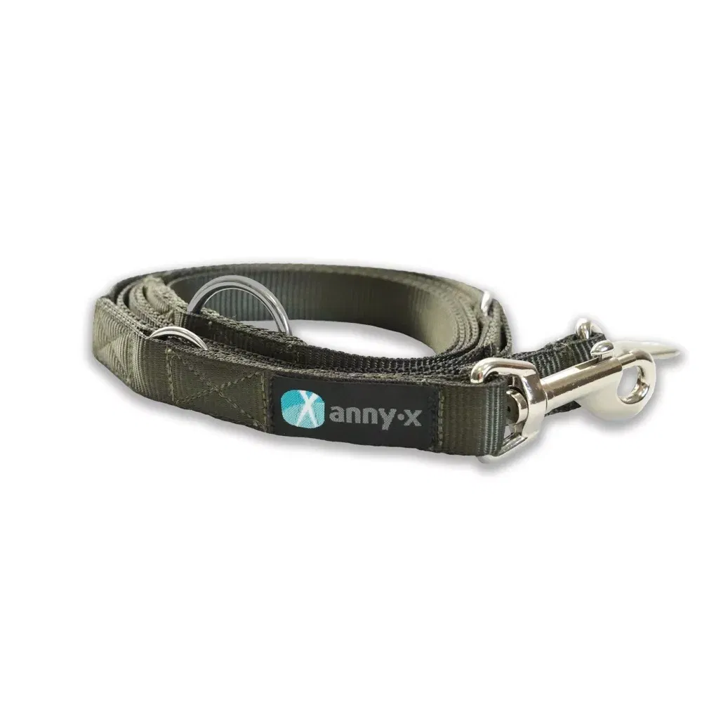 Leine Easy Fun - Oliv  