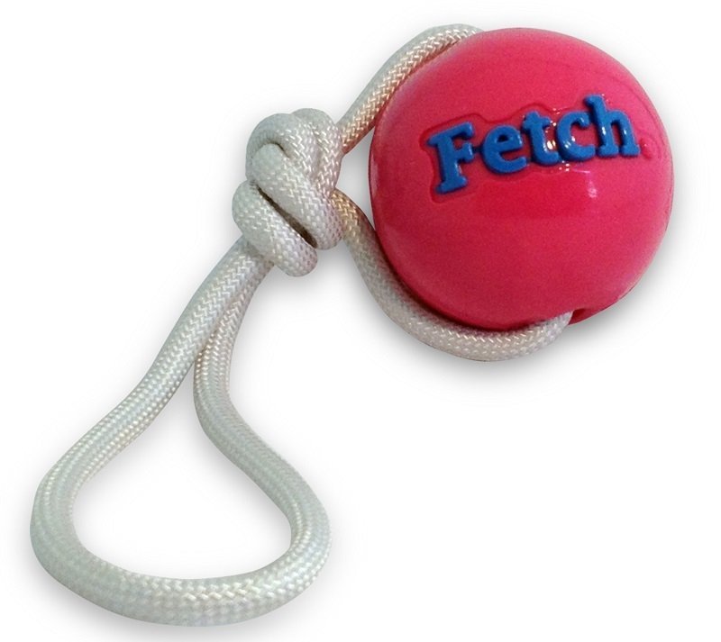 Planet Dog - Fetch Ball with Rope - Pink