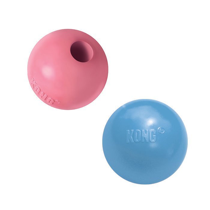 Kong Puppy Ball - blau, rosa