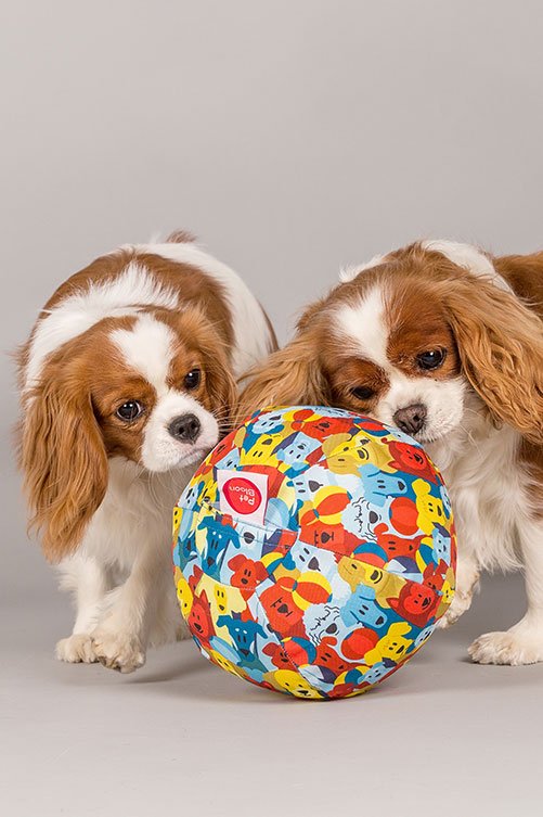 PetBloon Hundeball mit Luftballon
