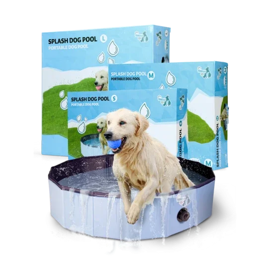 Splash Dog Pool