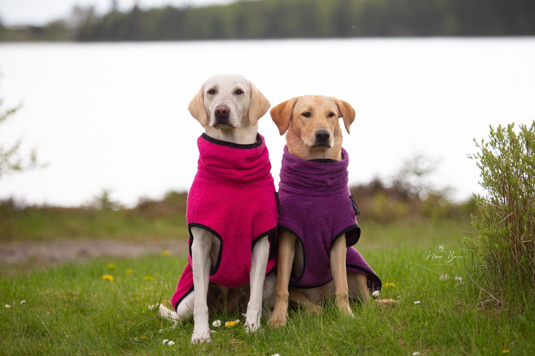Dryup Cape - Muschelsucher Labrador