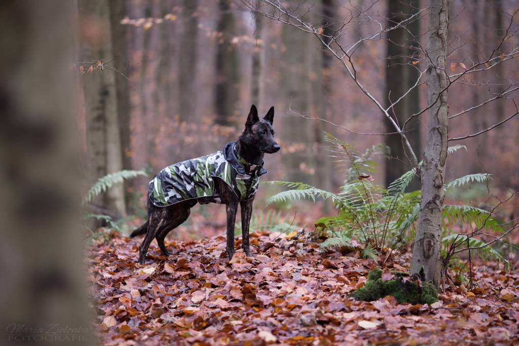 Rukka - Hunde Regenmantel - Stream - Cool Camo