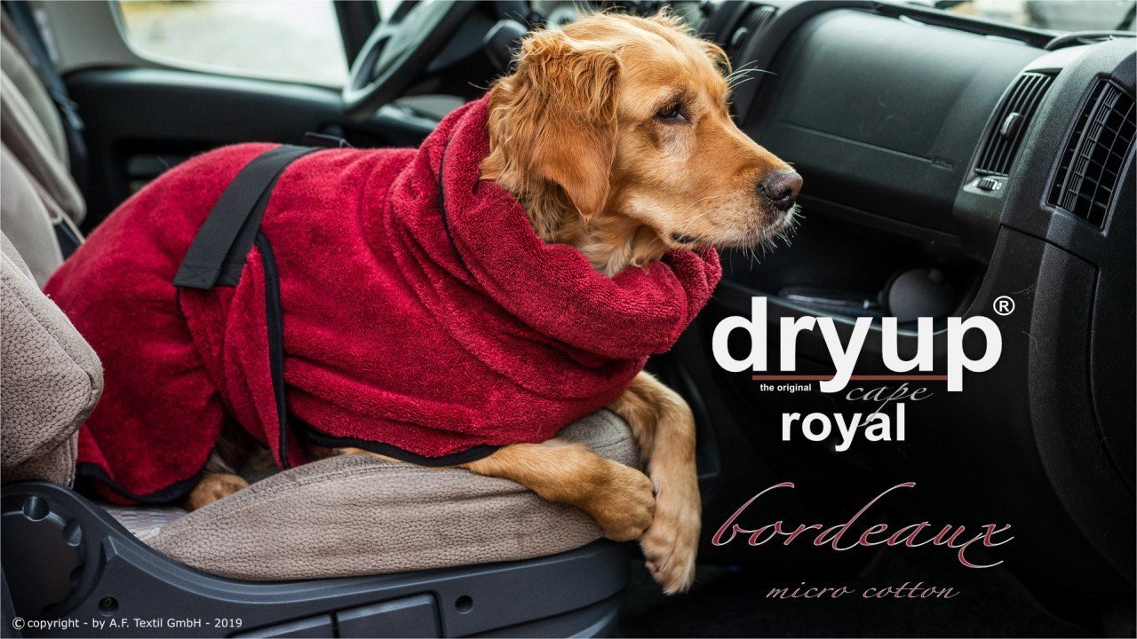 Dryup-cape-Royal-Bordeau