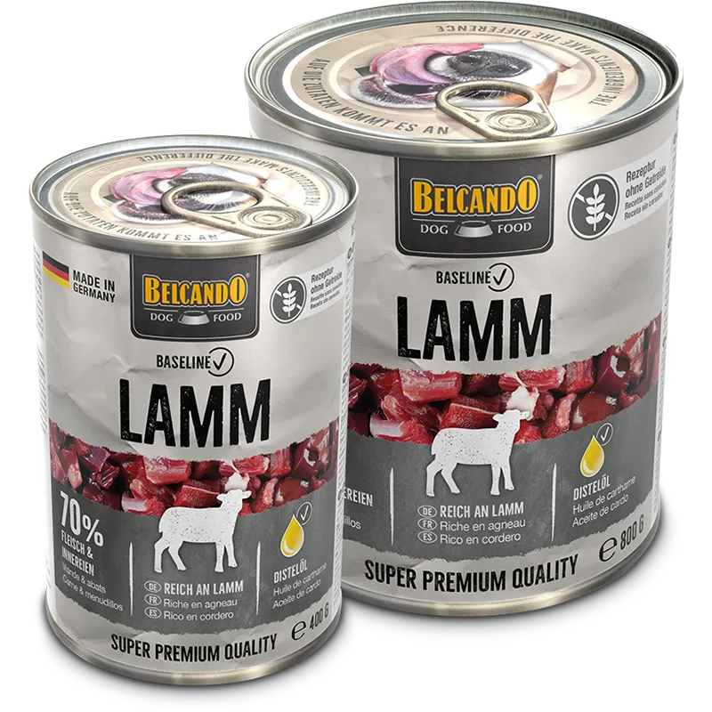 Baseline Dosen Lamm