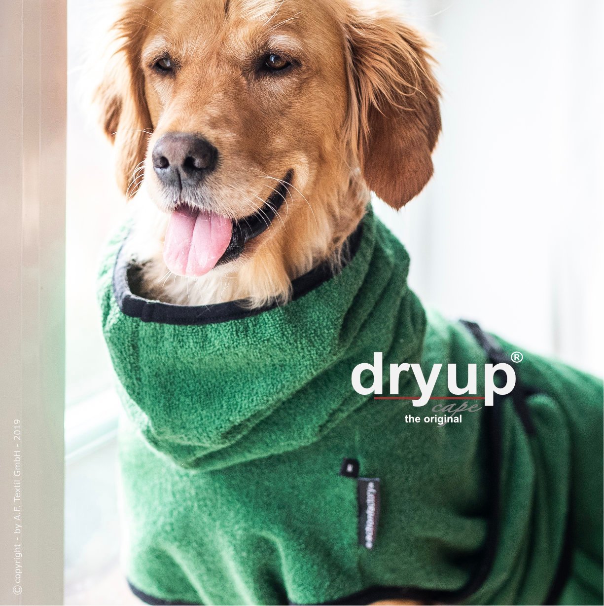 Dryup Cape - Dark Green