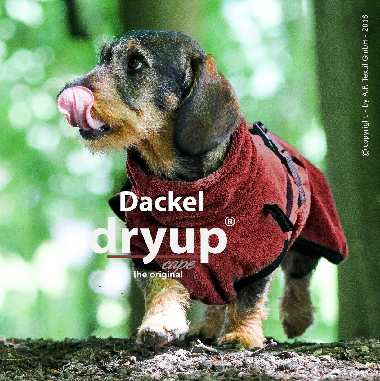 Dryup Cape - Dackel