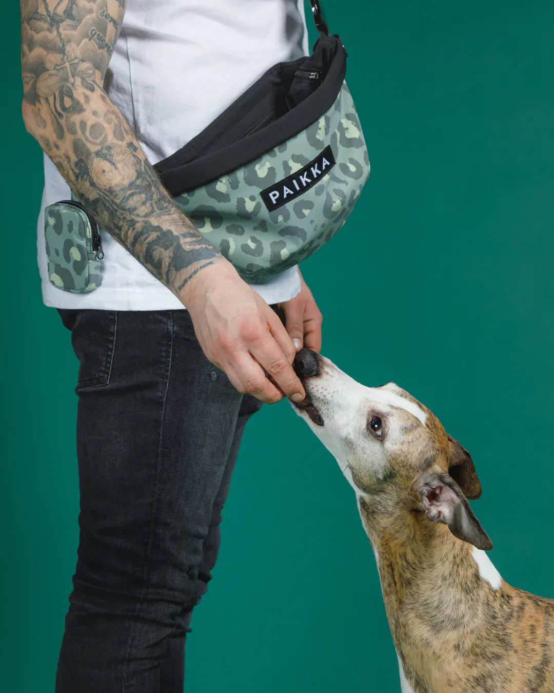 Visibility Treat Bag GREEN LEO - Große Leckerli-Tasche