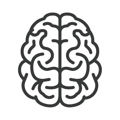 Intelligenzspielzeug