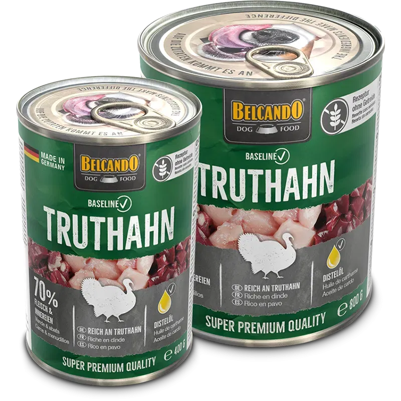 Baseline Dosen Truthahn 
