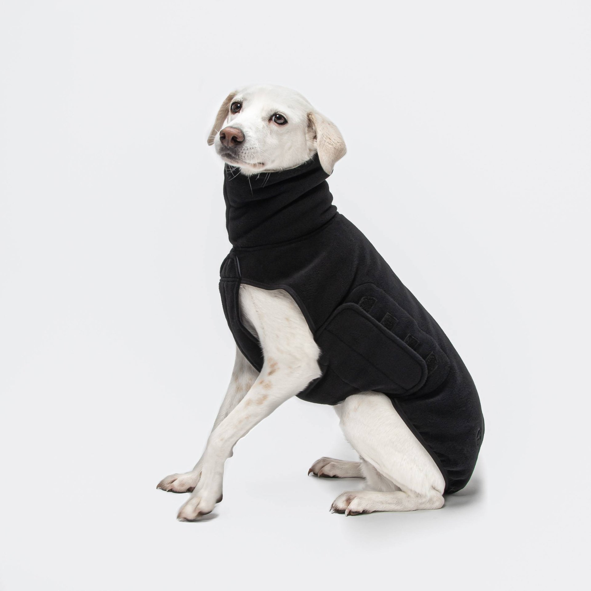 Cloud7 - Hundepullover Dorset Fleece Black