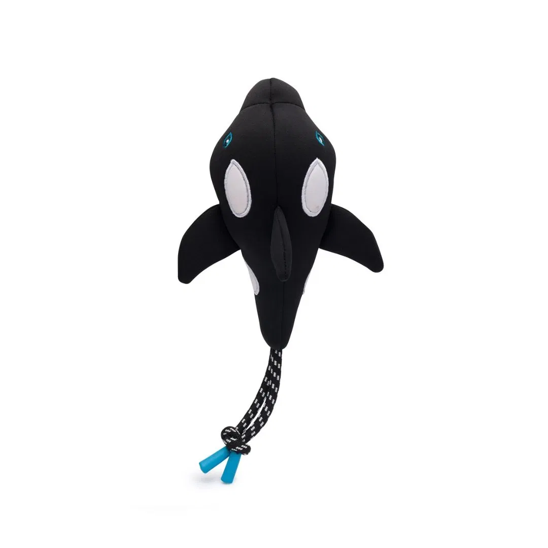 Whale Floatie - Wal