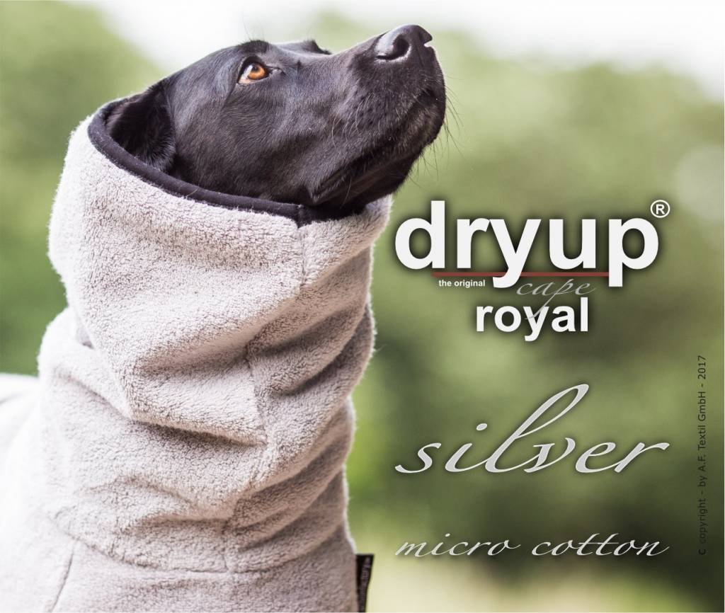 Royal Dryup Silber - Labrador