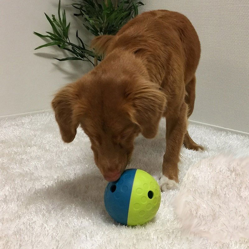 Treat Tumble - Small