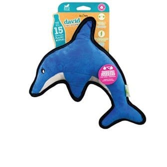 Beco - David the Dolphin