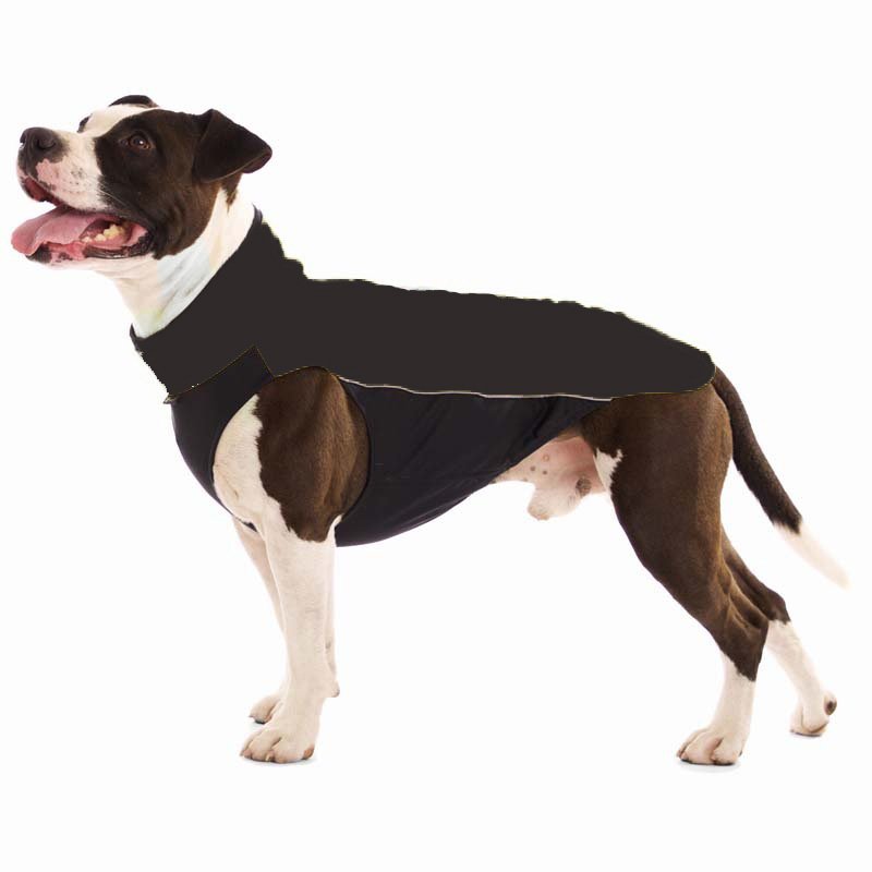Hachico Bull Schwarz