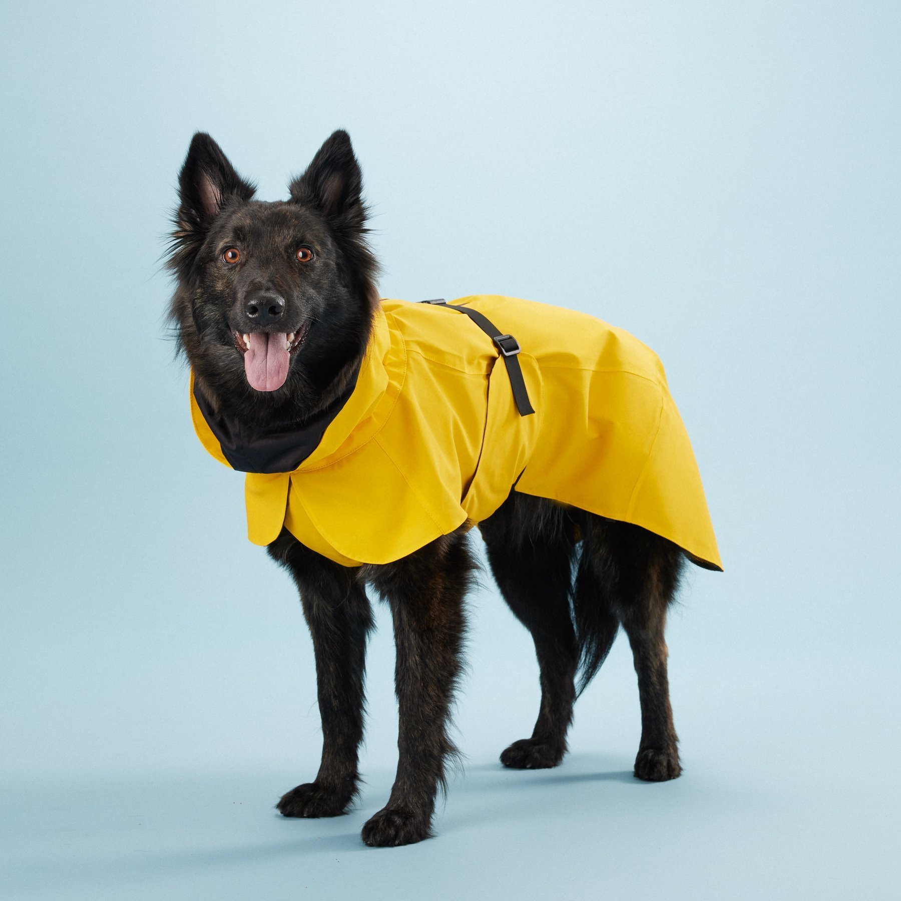 Visibility Raincoat Lite Yellow - Paikka