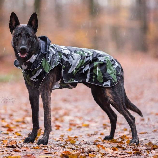 Rukka - Hunde Regenmantel - Stream - Cool Camo
