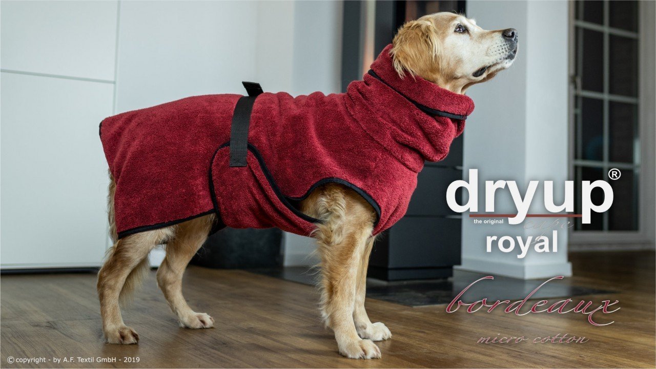 Dryup-cape-Royal-Bordeaux_Hundebademantel-MicroCotton
