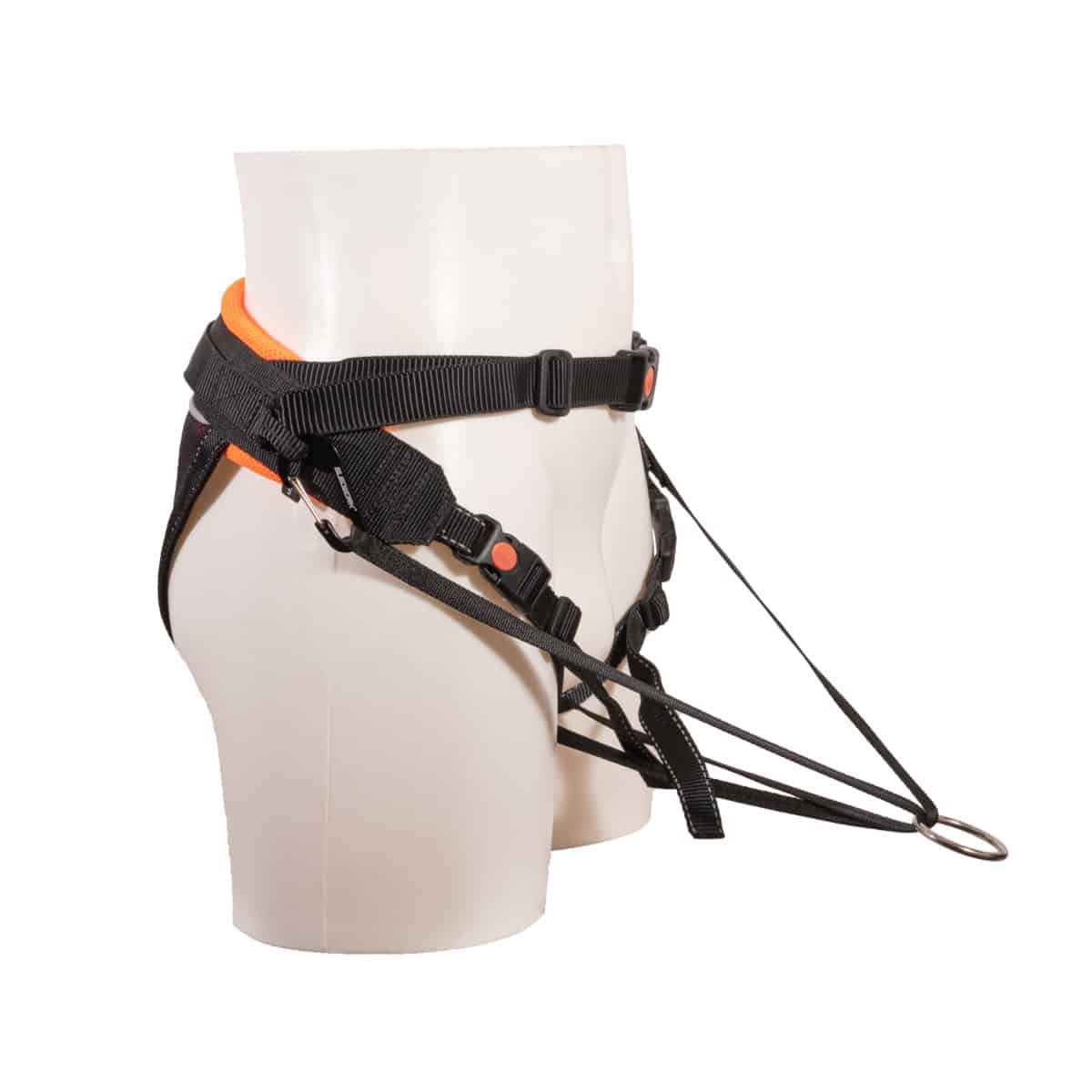 Sledwork - CaniX Belt G2 light