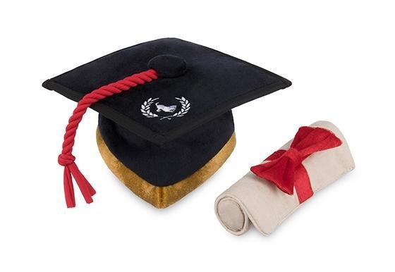 Graduation Hat & Scroll