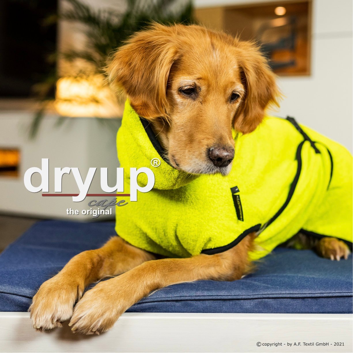 Dryup Cape - Lime