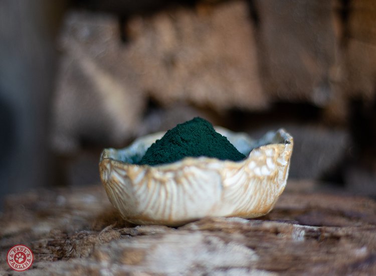 Paul & Paulina - Spirulina gemahlen