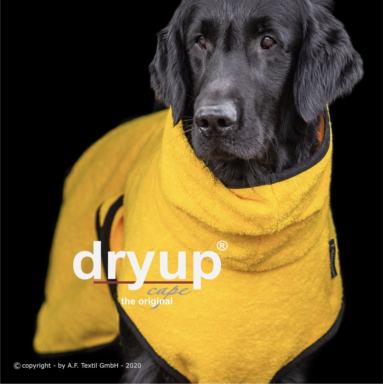 Dryup Cape - Yellow