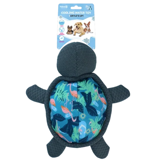 Turtle’s Up - Schwimmende Schildkröte