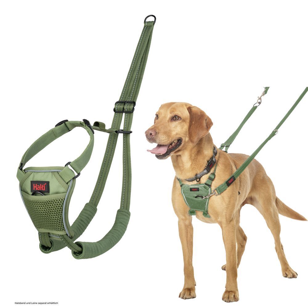 No Pull - Harness Forest Green