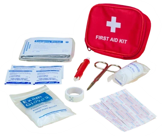 Erste Hilfe Set Inhalt Pawise_First_Aid_Kit