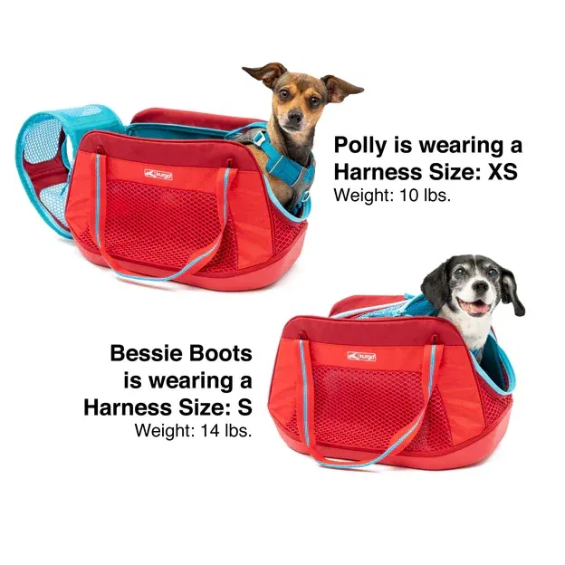 Hunde-Reisetasche - Explorer Carrier-S