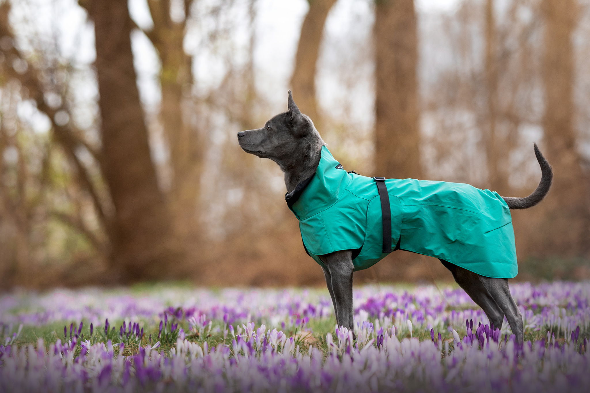 Visibility Raincoat - Emerald