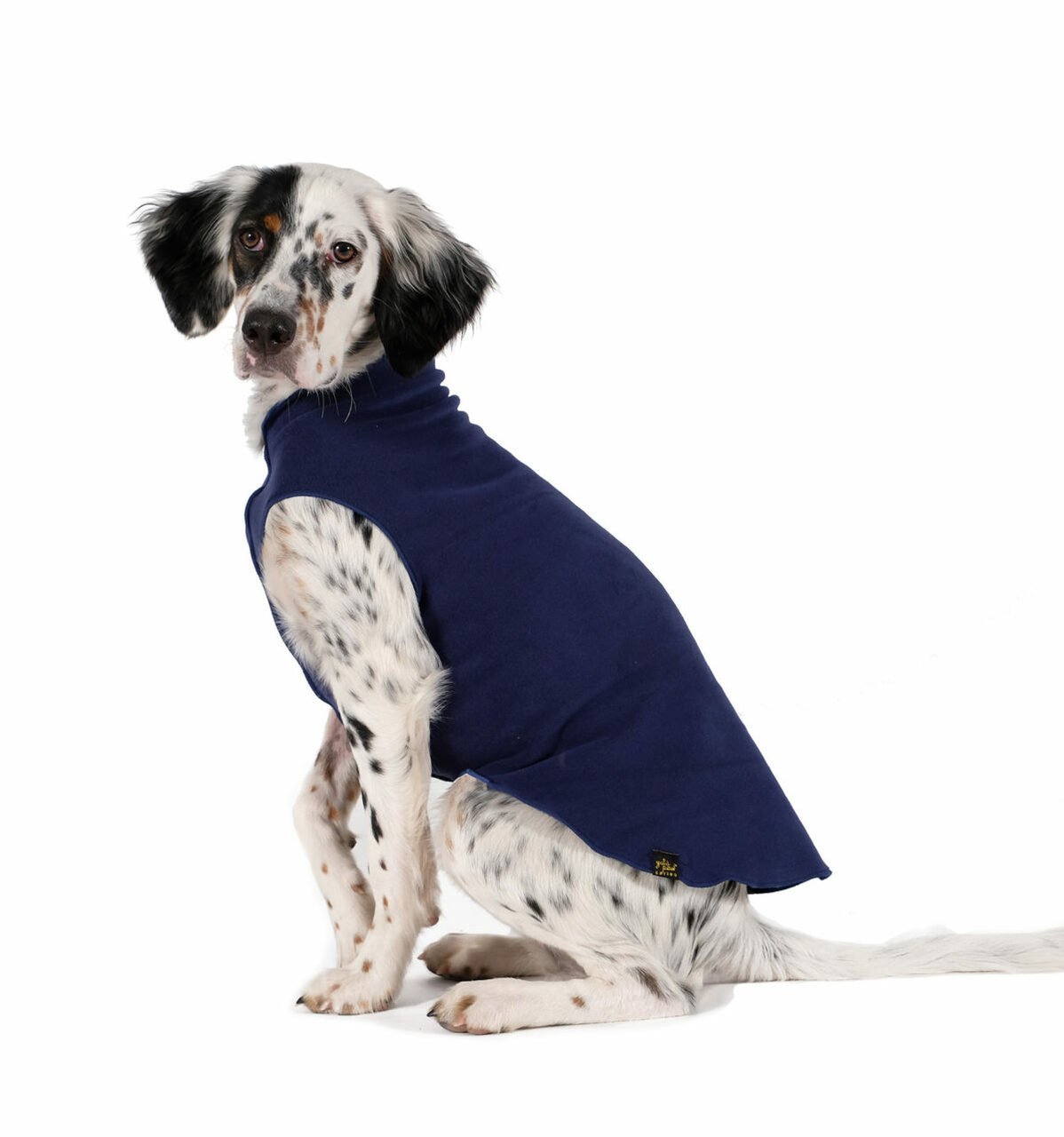 Fleece-Shirt_fuer_Hunde_Dunkelblau
