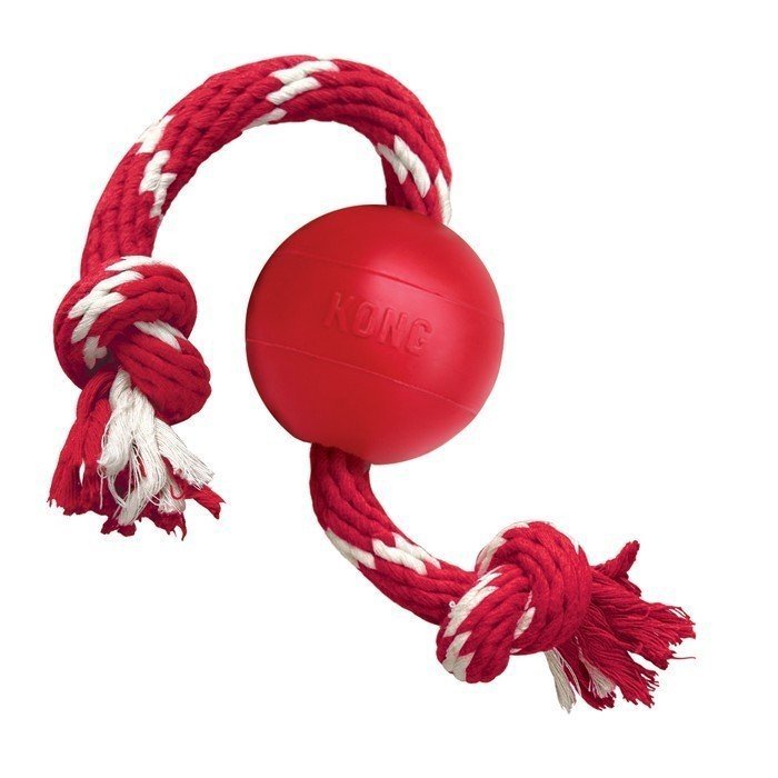 Kong - Ball mit Seil