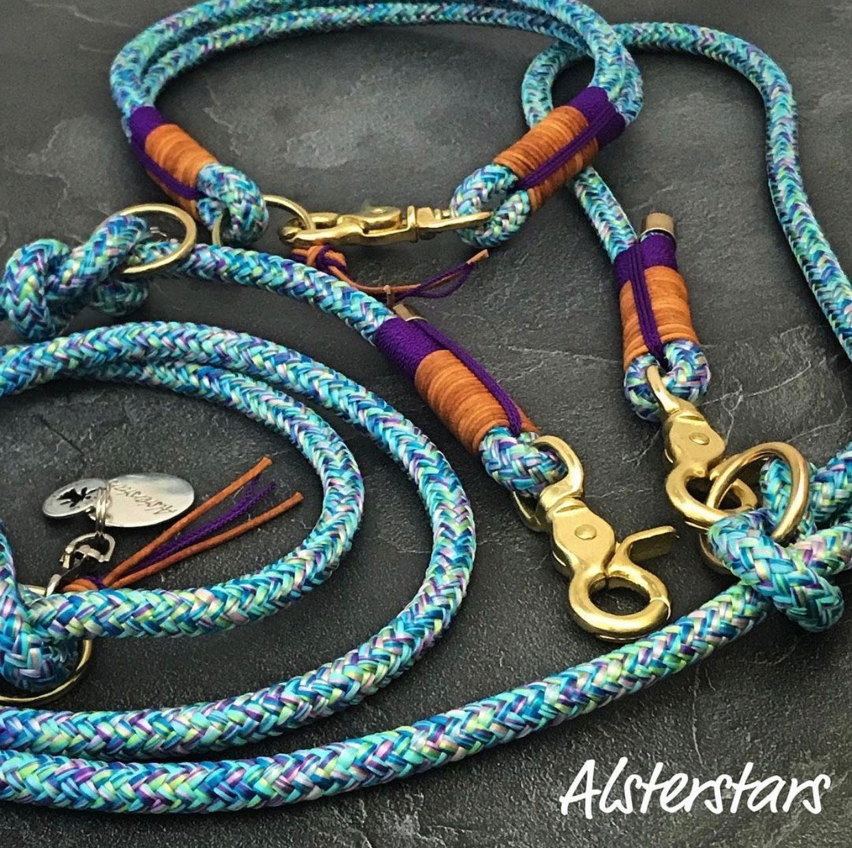 Tauleinenset Aqua Colour - Tauhalsband & Tauleine