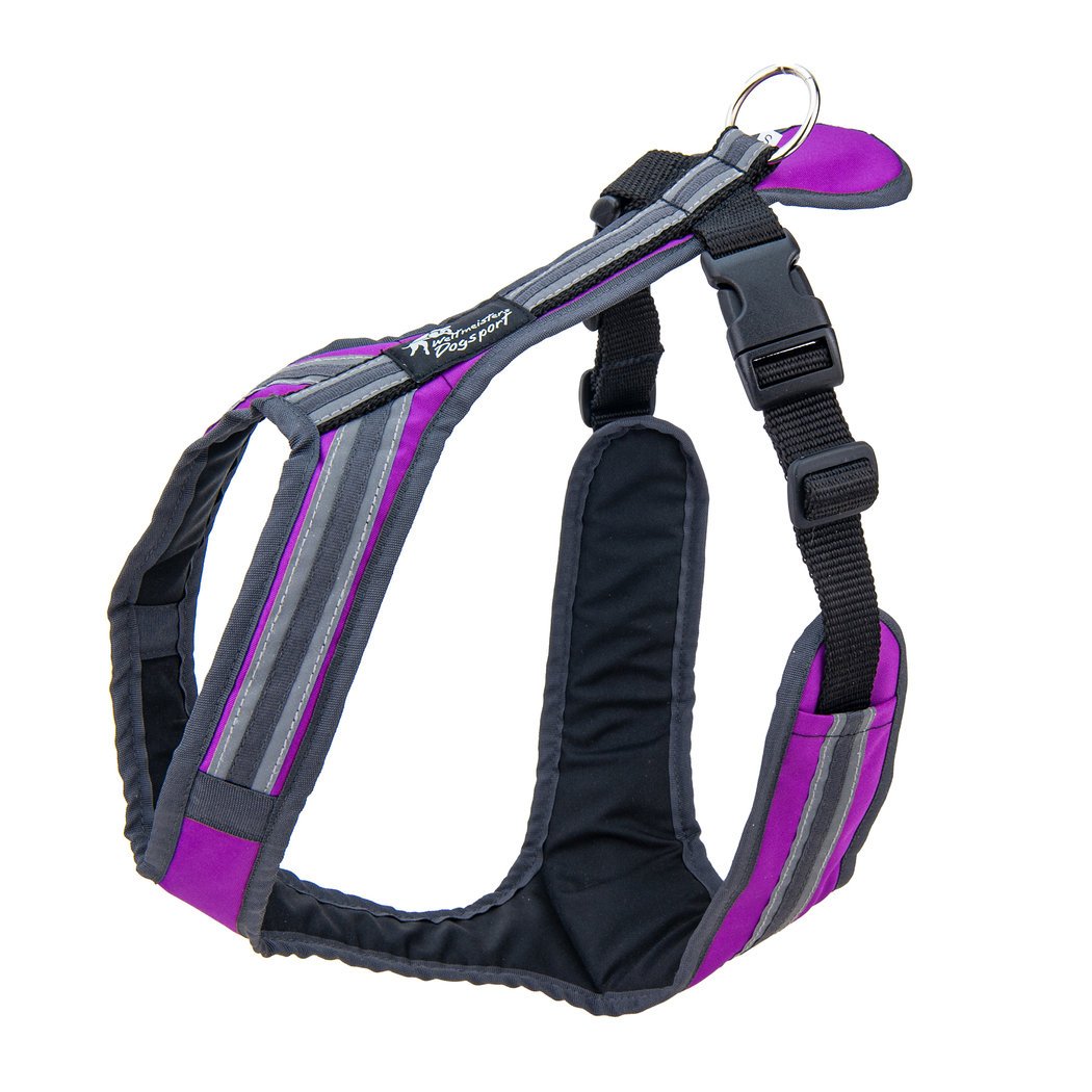 Hundegeschirr_safety_fuchsia-anthrazit_Weltmeisters