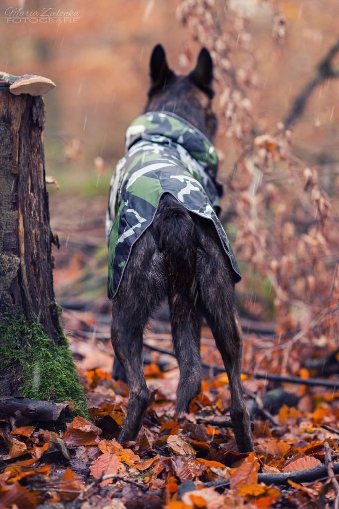 Rukka - Hunde Regenmantel - Stream - Cool Camo