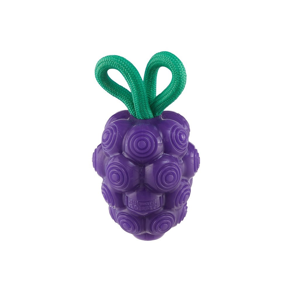 Dental Grapes