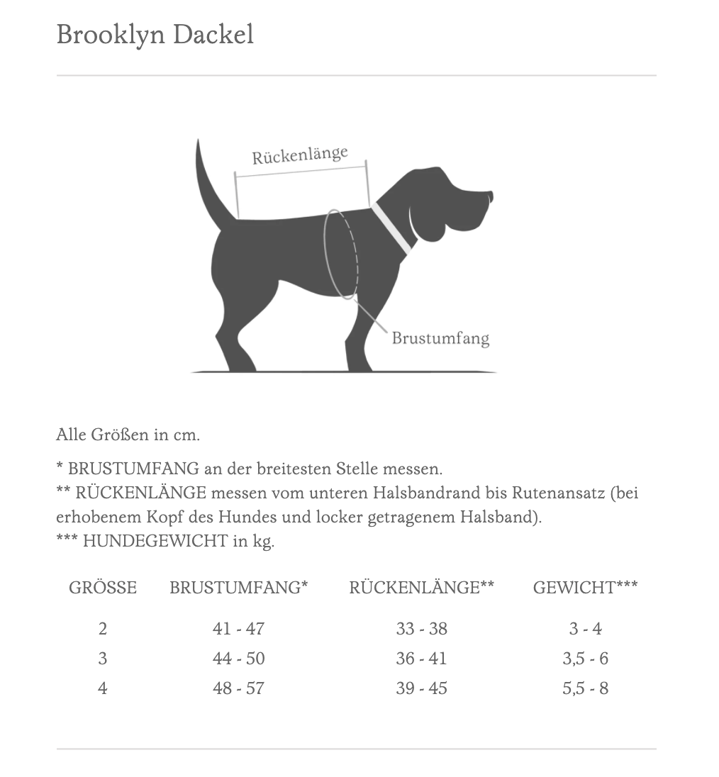 Brooklyn Dackel - Size Cloud7