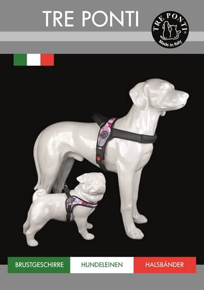 TRE PONTI