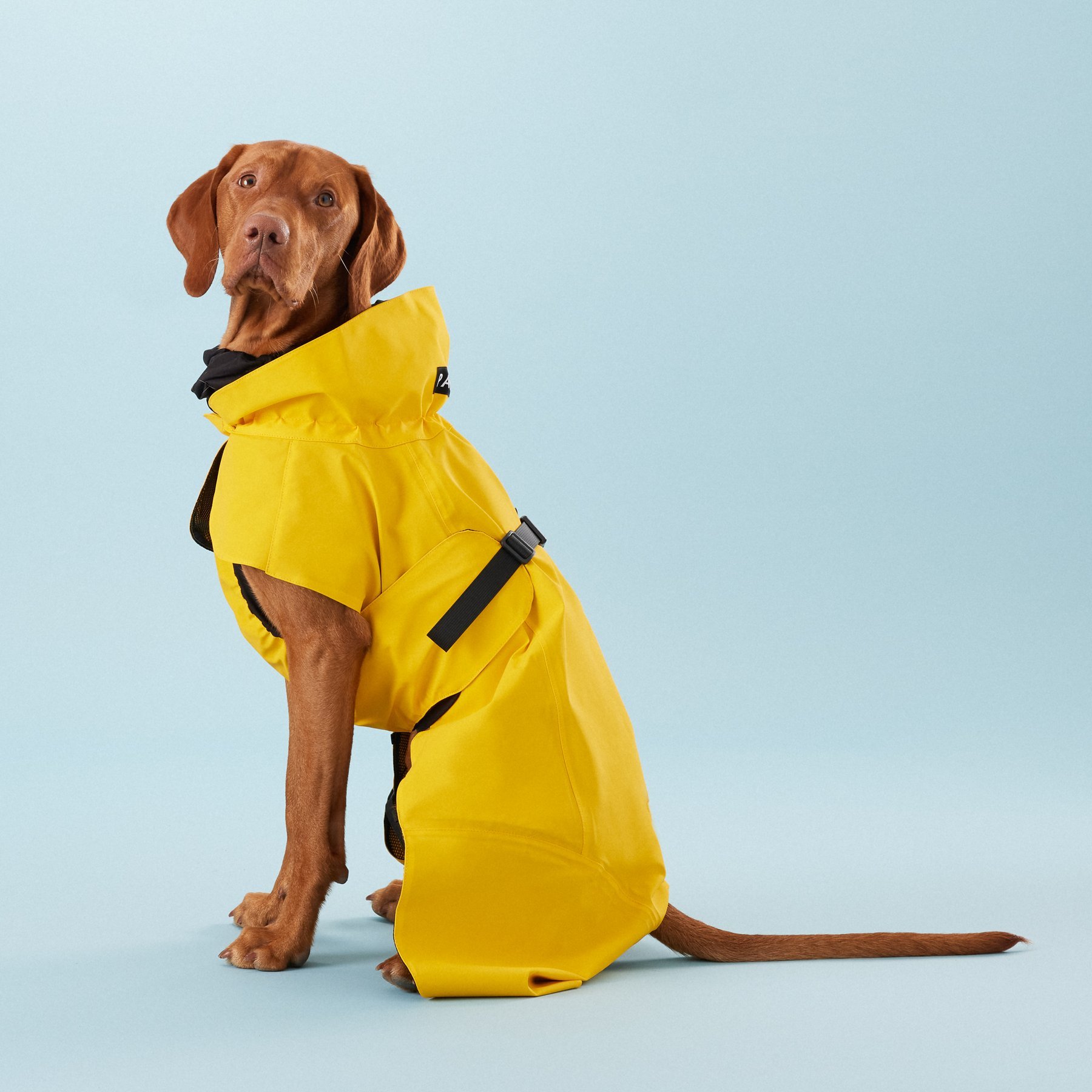 Visibility Raincoat Lite Yellow - Paikka