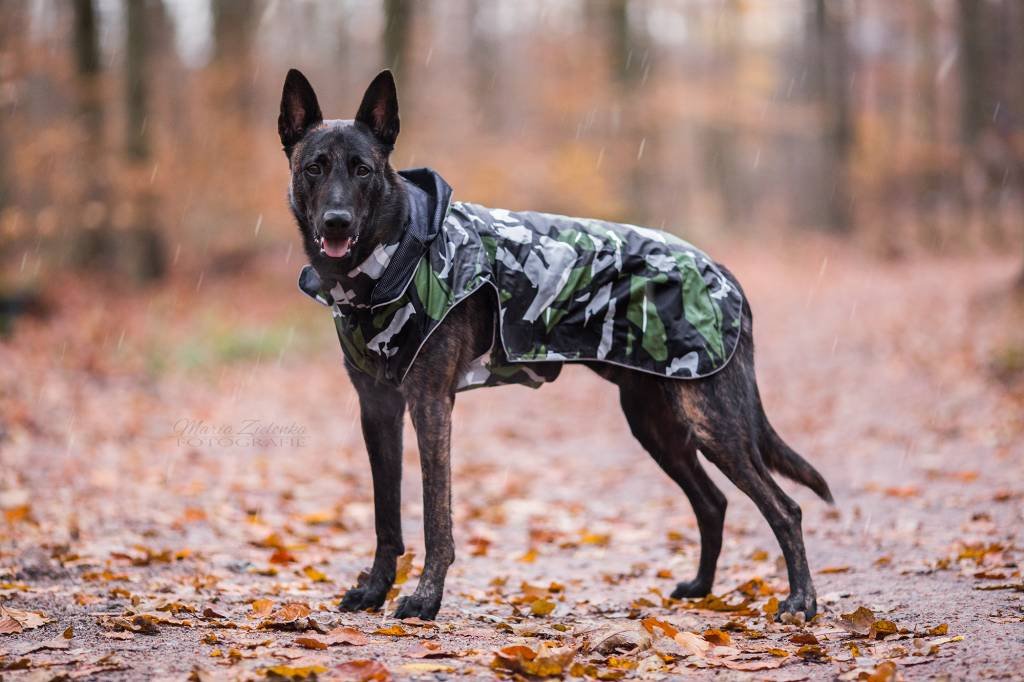Rukka - Hunde Regenmantel - Stream - Cool Camo